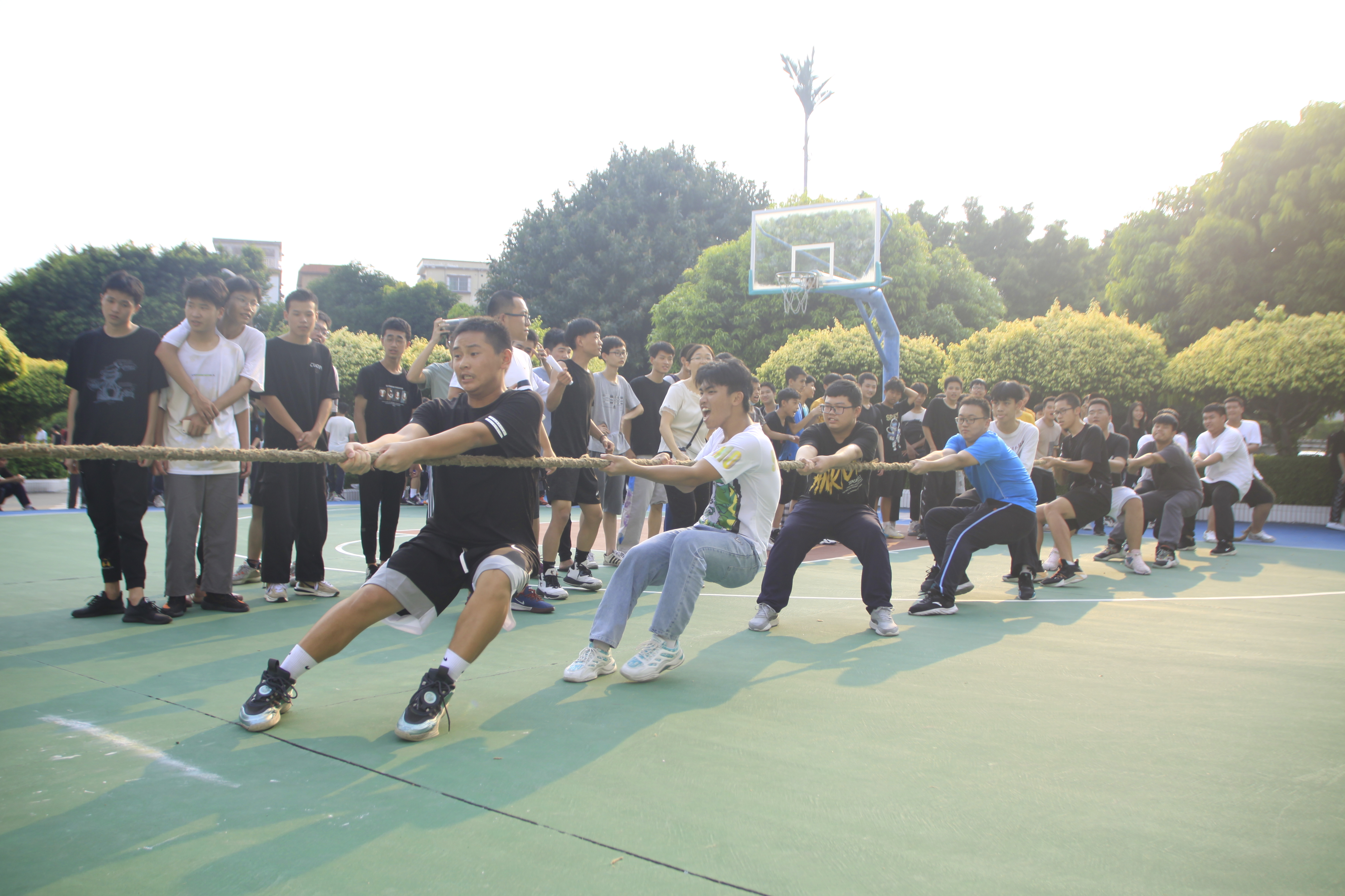 吳嘉暉 (4).JPG