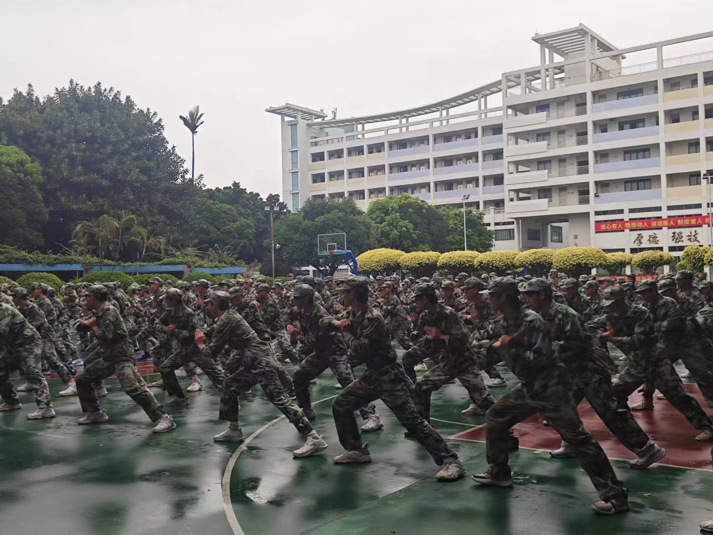 軍訓匯演（葉焯標） (2).jpg